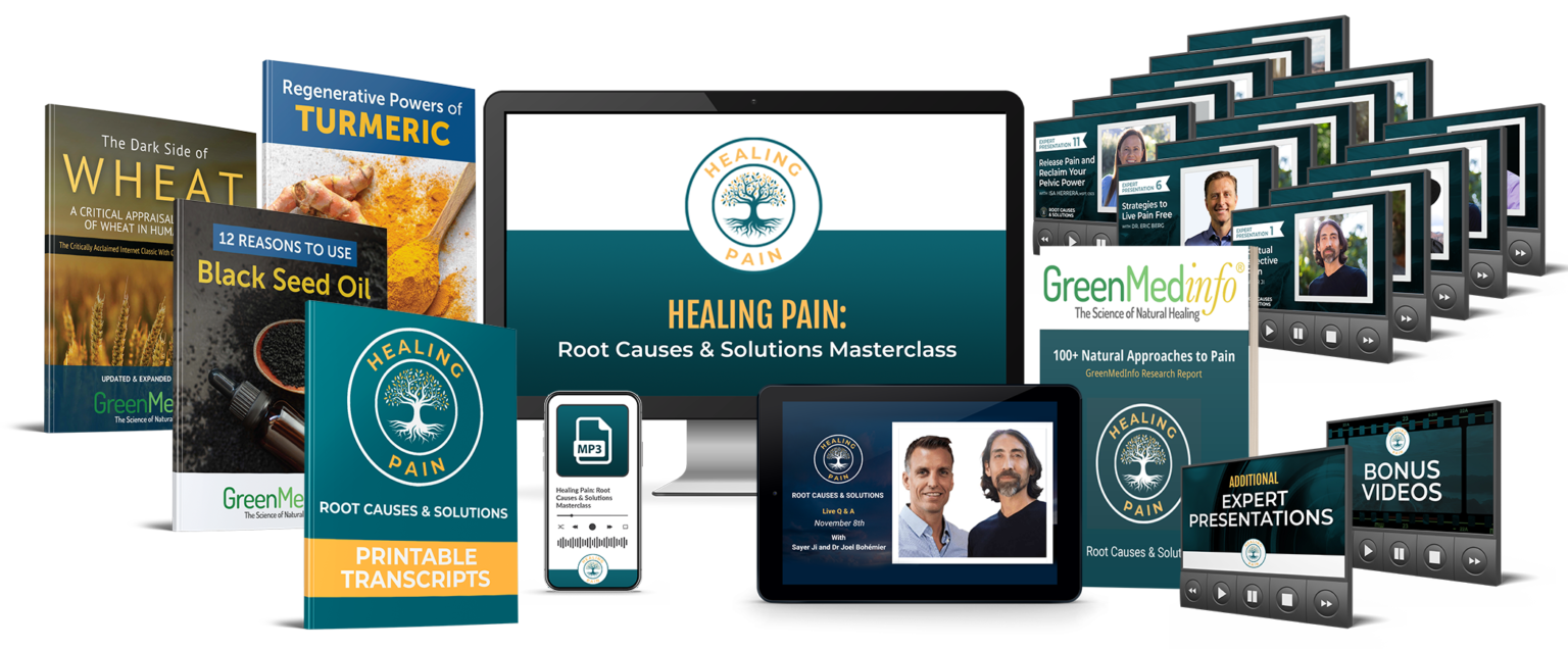 Healing Pain Masterclass Event Regenerate Project