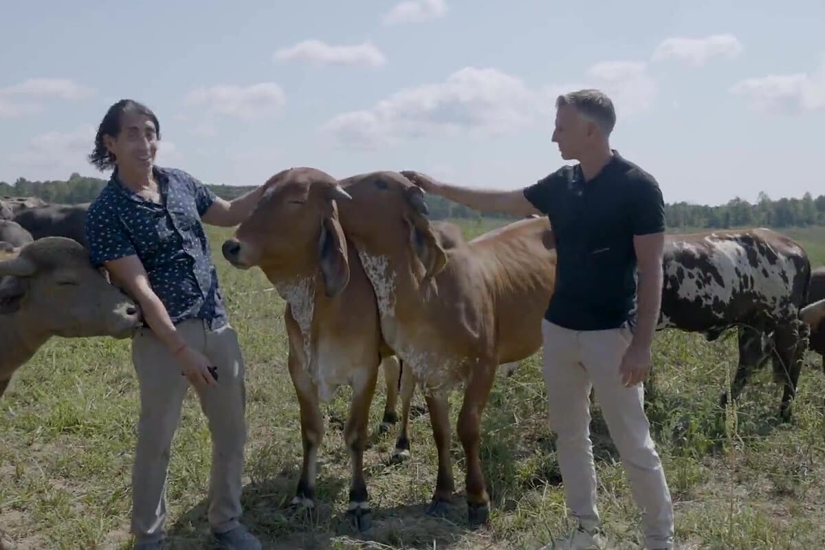 Sayer Ji and Dr. Joel Bohemier with cattle on the farm